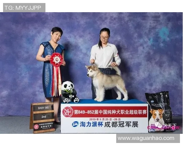 2019年1月1日辽宁队与北京队精彩对决录像回放分析与精彩瞬间回顾