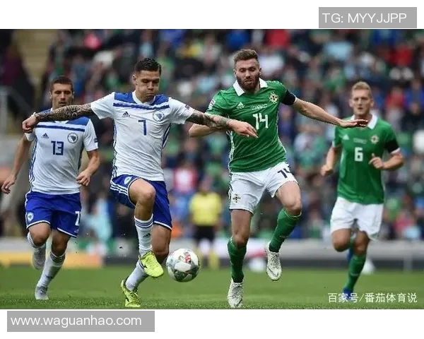 北爱尔兰与波黑比赛前瞻及胜负预测分析详解