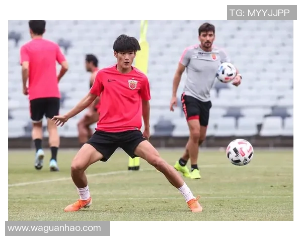 上港与悉尼精彩对决视频直播全程回顾与分析