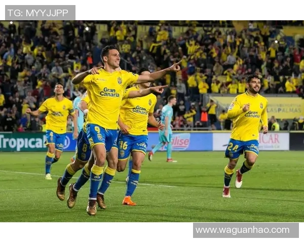 都灵与卡尔皮比赛前瞻分析及胜负预测解析