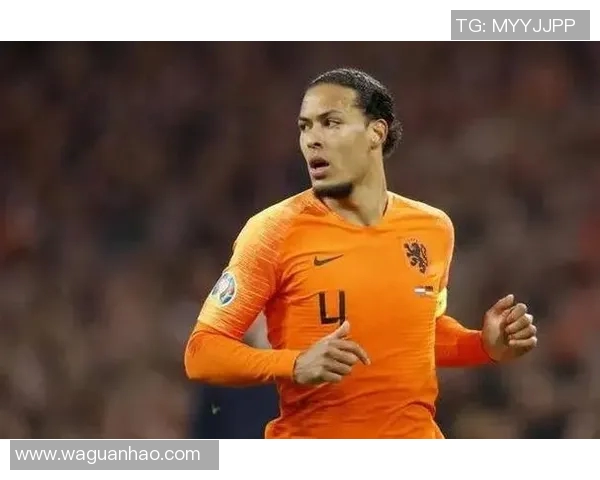 范戴克：从天才少年到世界顶级后卫的传奇之路与成就分析