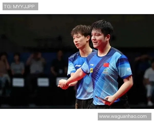 樊振东与林高远激战乒乓球赛场谁将成为新一代乒坛霸主