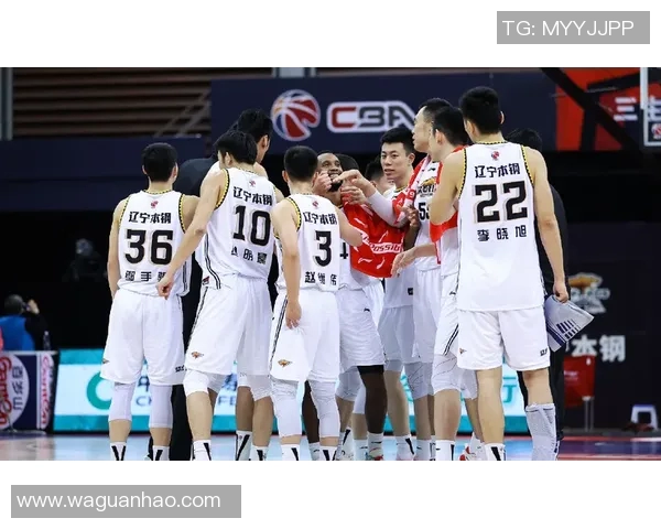 辽宁对阵江苏同曦精彩比赛录像回放分析与精彩瞬间集锦