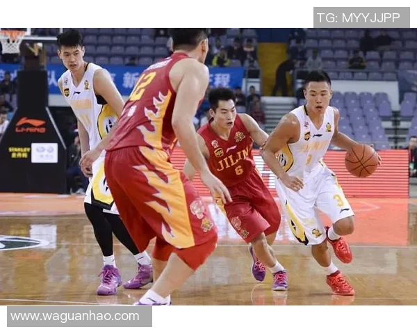 贺希宁：从青年才俊到行业领军人物的成长之路与未来展望