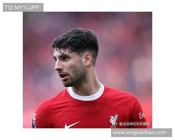 索博斯洛伊的历史与文化探秘：从古至今的变迁与影响