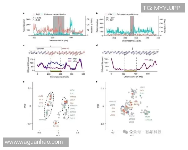 火花与自由的较量大小分分析揭示比赛胜负关键因素