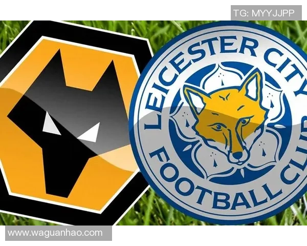 莱斯特城与狼队雨燕的激烈对决展现英超精彩瞬间