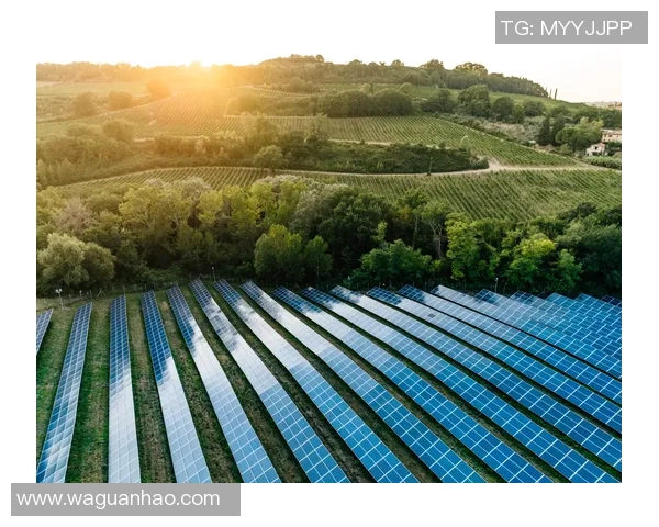 亚马尔地区能源开发与国际合作的未来展望与挑战分析